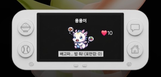 갤러리 이미지 5